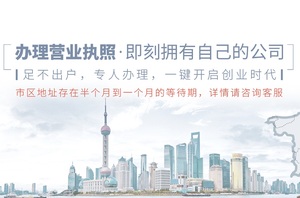 上海自贸区公司注册